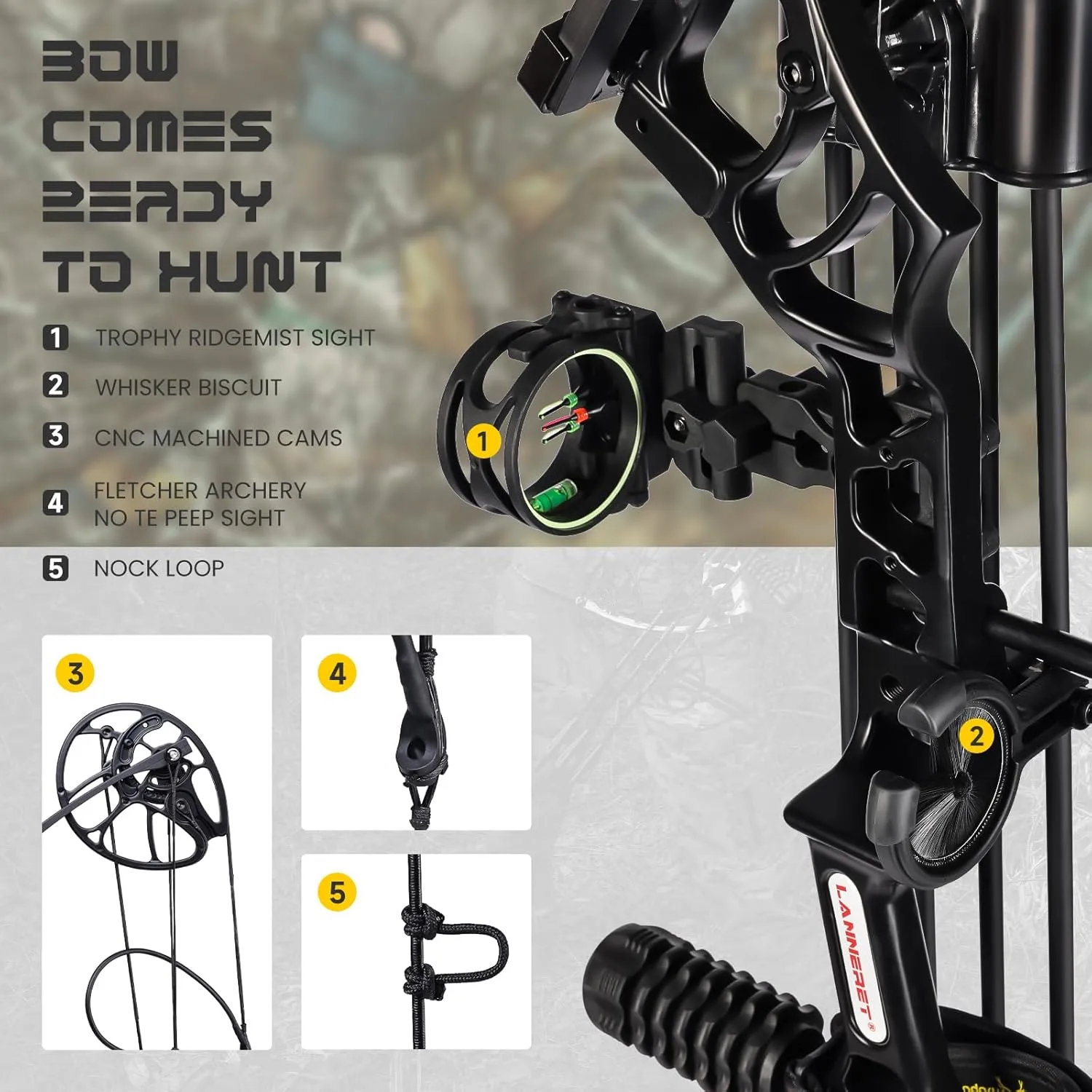 Archery Eagle Compound Bow and Archery Sets 20-70lbs for Adults and Teens,25"-31" Draw Lengthup to IBO 320 fpsLightweight Design Bow Adjustable 2024 New