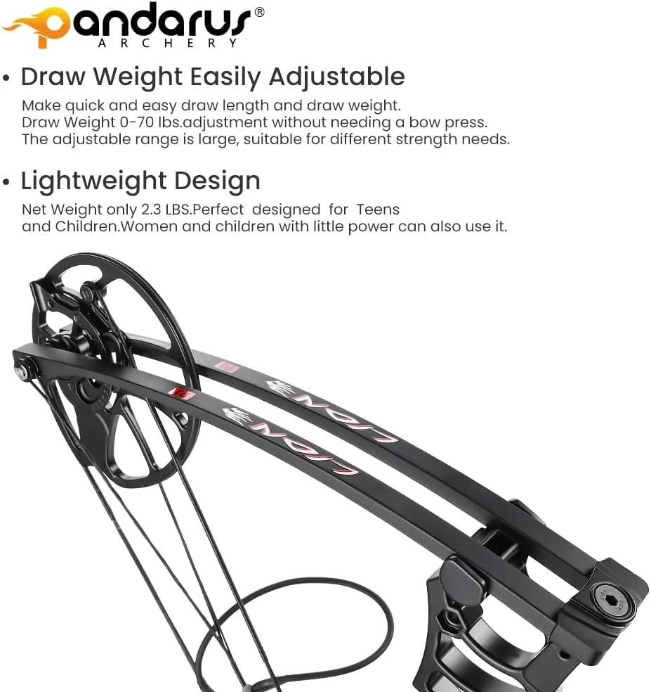 Archery Ready to Hunt Compound Bow Package for Adults and Teens,25"-31" Draw Length,0-70 Lbs Draw Weight Adjustable,up to 320 fps,Made in USA,Lightweight Design P3 Bow,2025 New