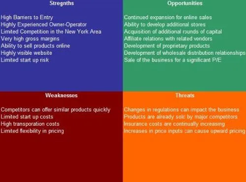 Bag Store SWOT Analysis Plus Business Plan