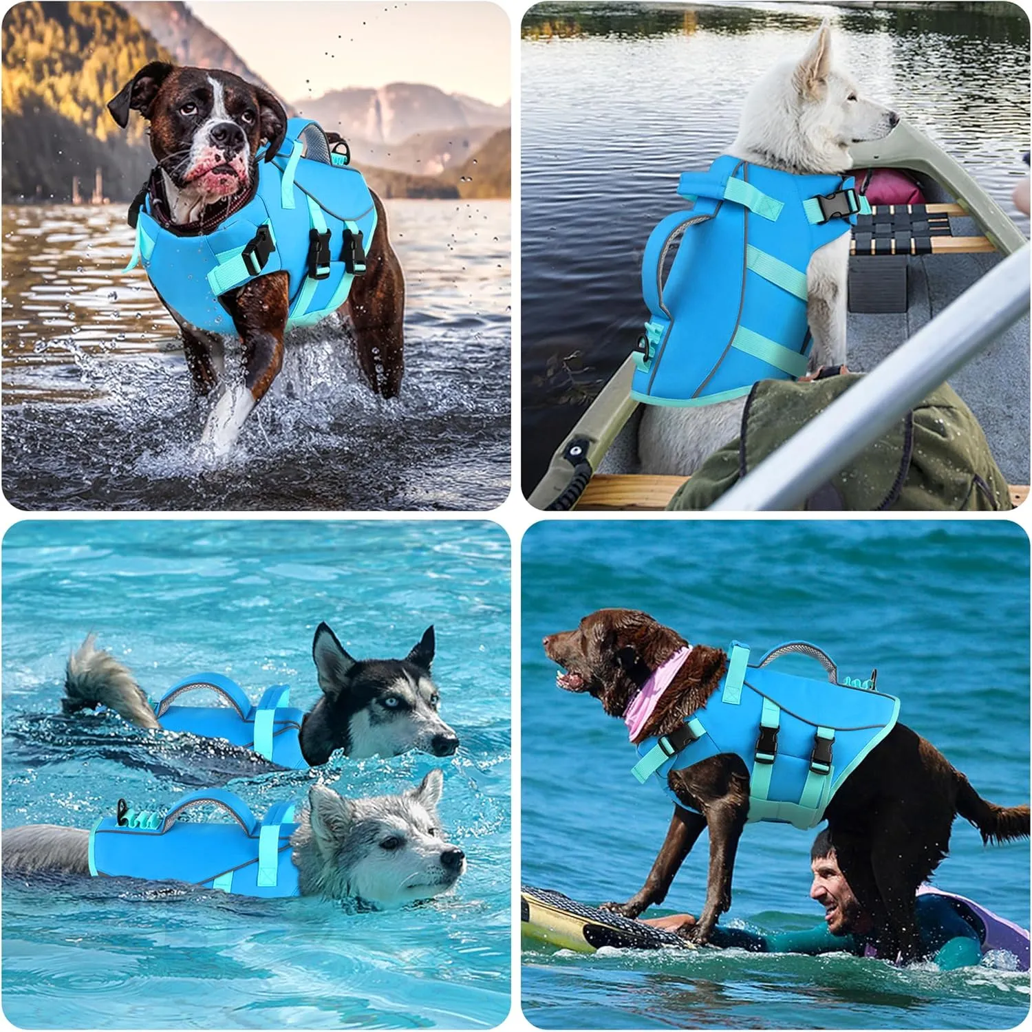 Dogcheer Dog Life Jacket with Double Rescue Handle, Reflective Dog Harness Life Vest for Swimming Boating, Adjustable Puppy Swim Jacket Pet DFD Flotation Vest for Small Medium Large Dogs - Blue M